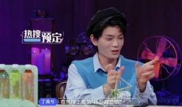 丁禹兮最新爆料,揭秘演艺圈幕后故事